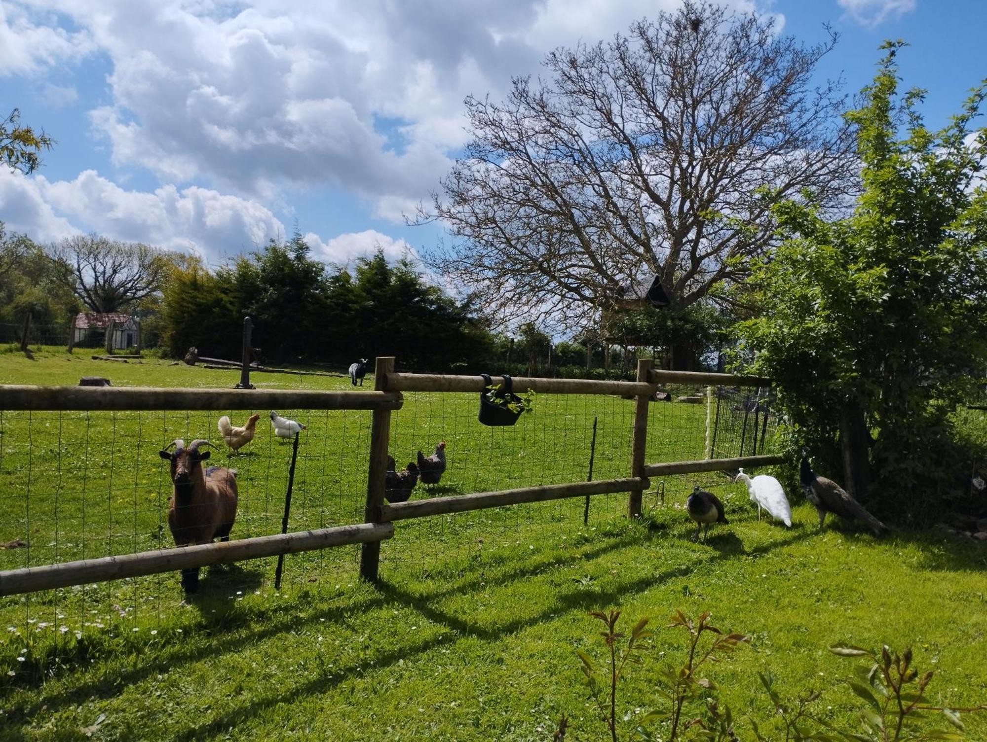 La Ferme De Frevan Sarceaux Extérieur photo